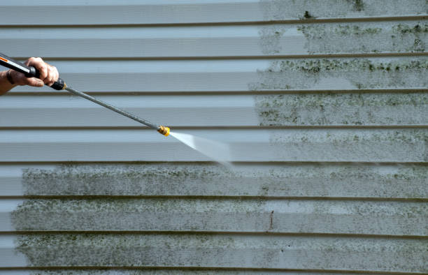 Mold Removal Process in Millington, NJ